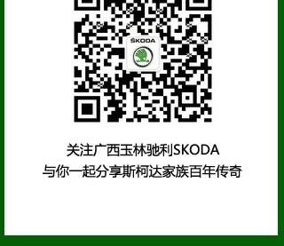 斯柯达,大众