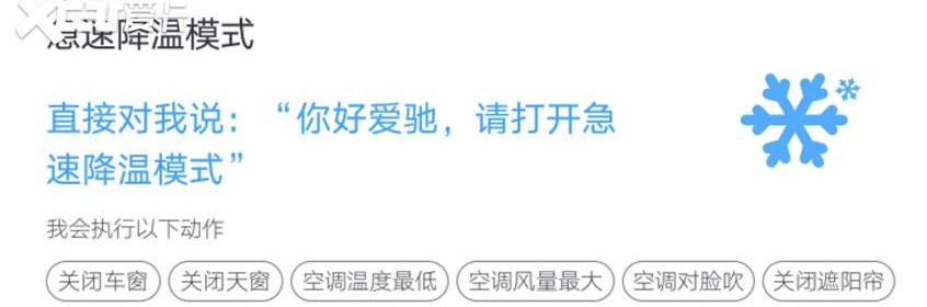 爱驰,爱驰U5,远程