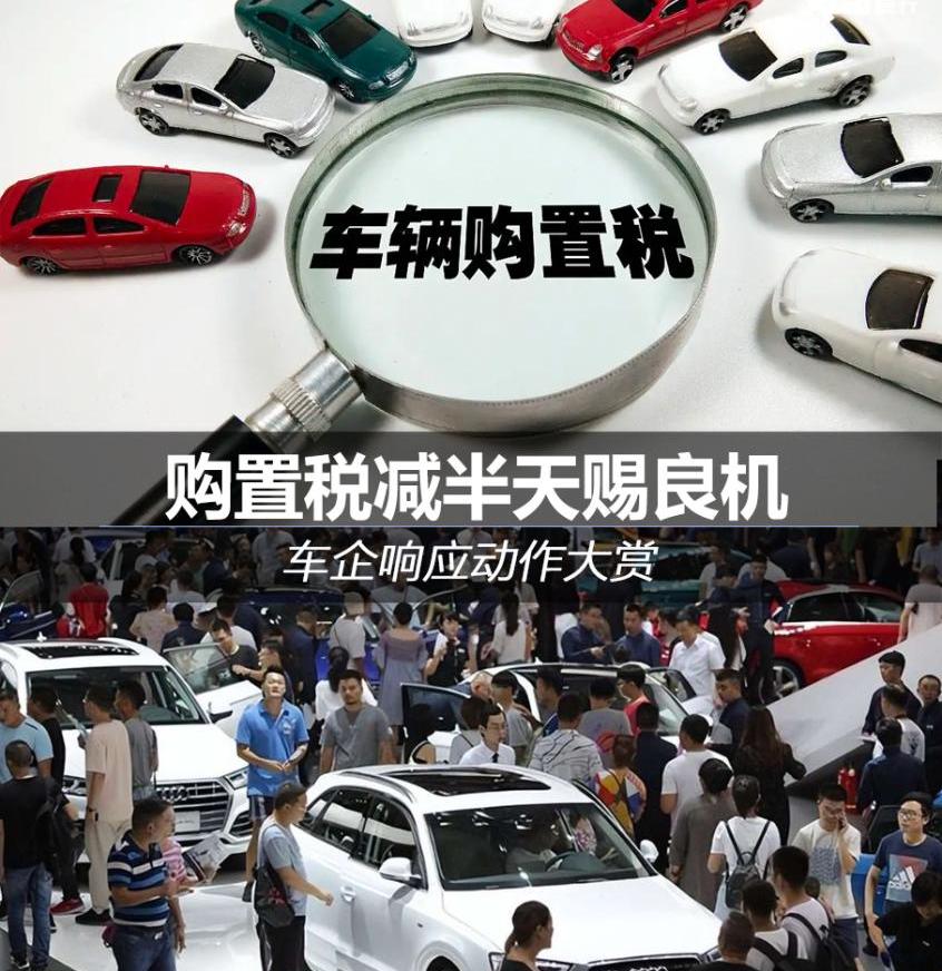 思皓,北京,长安,领克,奇瑞