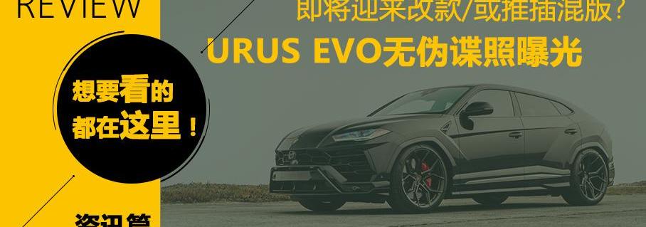 蒙迪欧,丰田,长安,卡罗拉,特斯拉