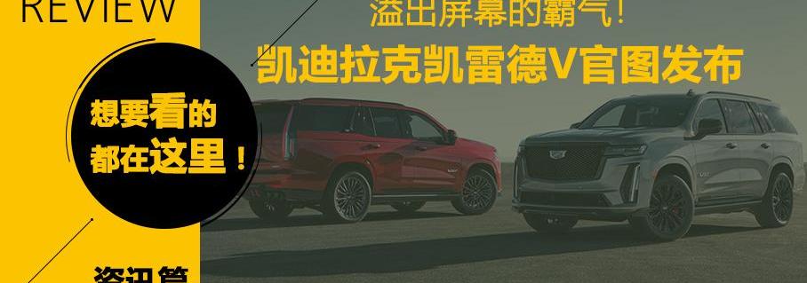 蒙迪欧,丰田,长安,卡罗拉,特斯拉
