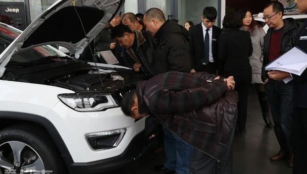 Jeep,炮,Alpine,优越,远程