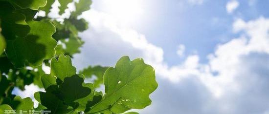 Alpine,汉兰达,炮,汉,胜达