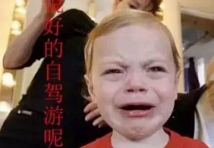 雅阁,本田,凌派