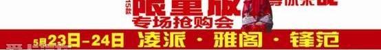 雅阁,本田,凌派