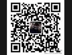 雅阁,本田,凌派