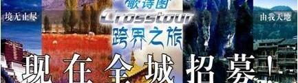 本田,雅阁