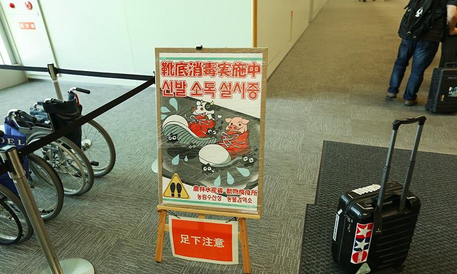 丰田,日产,马自达,雅阁,本田