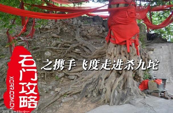 飞度,本田,汉,好运