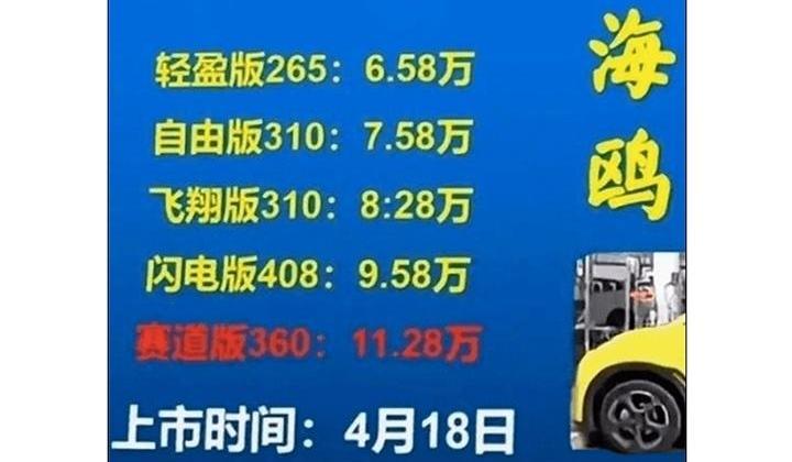 海鸥,比亚迪,海豚,飞度