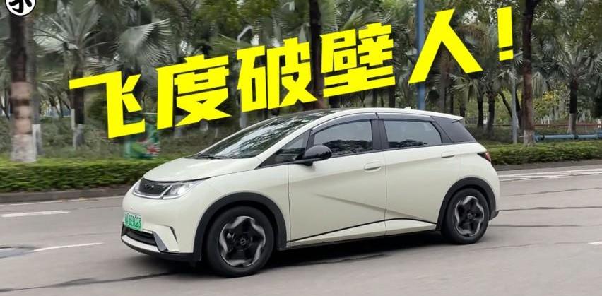 比亚迪,海豚