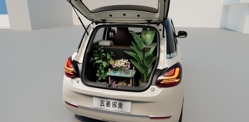 五菱缤果,宝马,MINI,保时捷,保时捷911