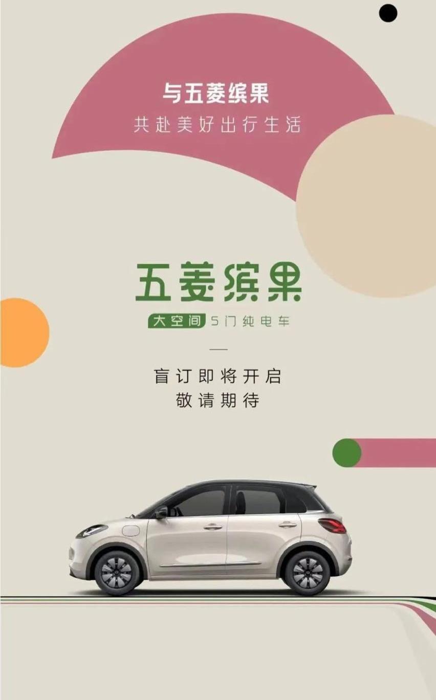 五菱缤果,宝马,MINI,保时捷,保时捷911
