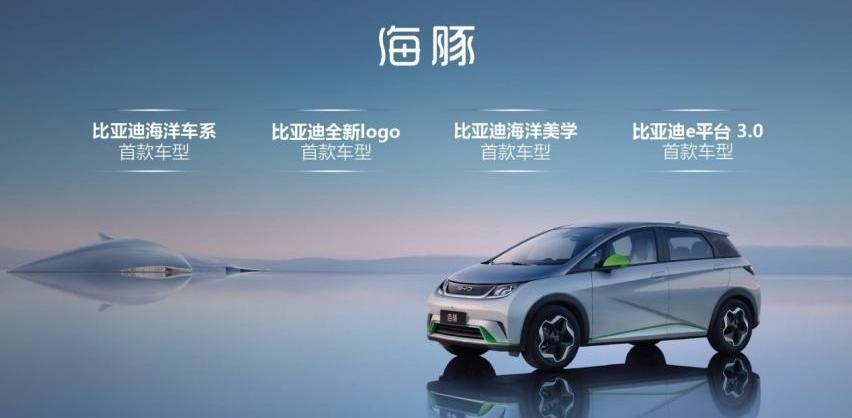 海豚,比亚迪,飞度,欧拉好猫,欧拉