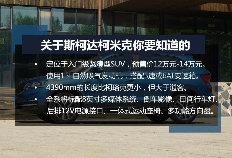 柯米克,柯珞克,斯柯达,柯迪亚克,缤智