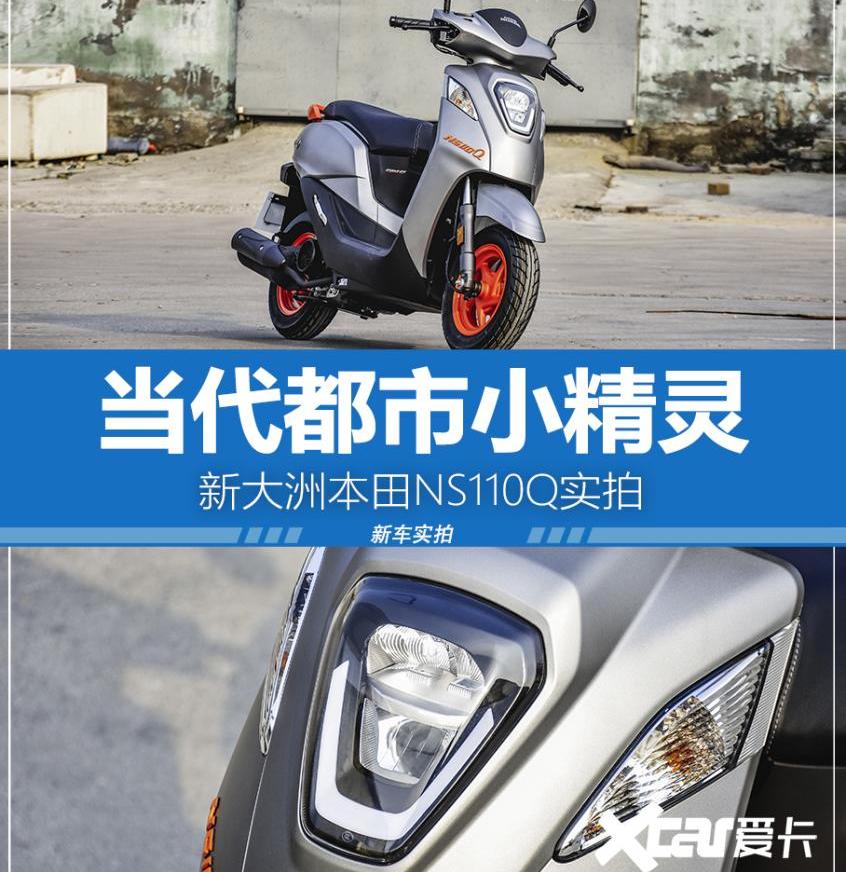 本田,海豚,发现