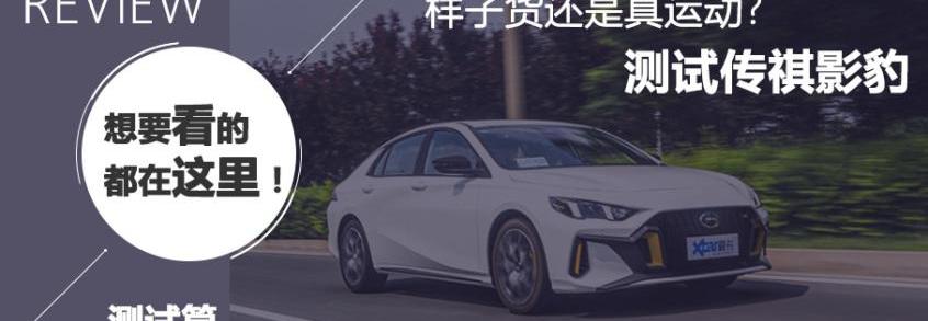 影豹,思域
