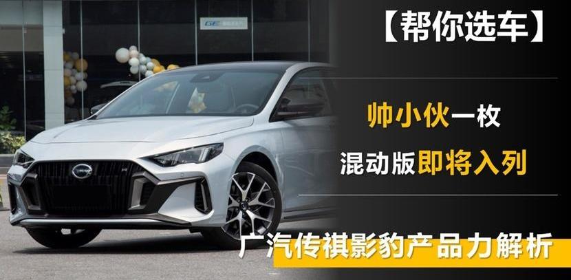 影豹,广汽传祺,GMC
