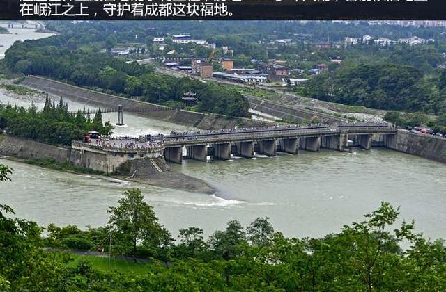 思域,宝马,大众,福特