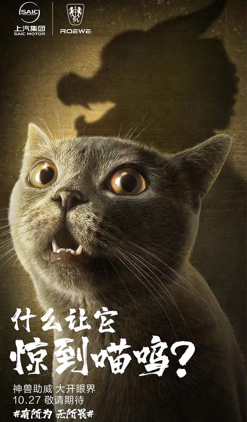 思域,龙猫,本田,荣威,海豚