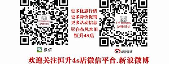 思域,东风,本田,世纪,大众