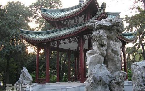 思域,曼,现代