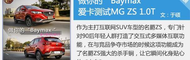 名爵,名爵ZS,大众,斑马