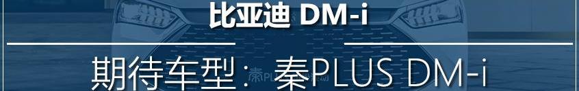 长城,比亚迪,本田,哈弗,哈弗H6
