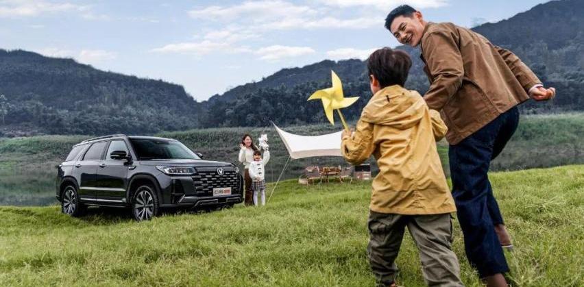 长安,长安CS95,RAV4荣放,坦克,比亚迪