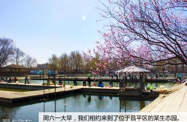 奔驰,北京,奔驰C级,捷豹,沃尔沃