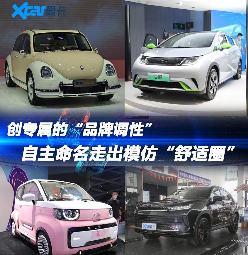 欧拉,比亚迪,海鸥,海豹,海豚