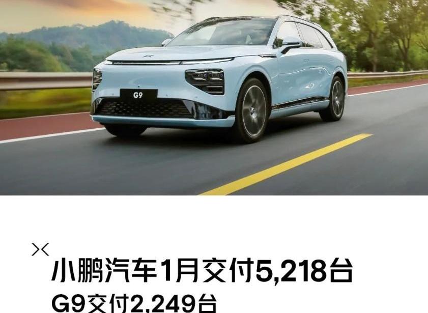 特斯拉,Model 3,Model Y,比亚迪,埃安