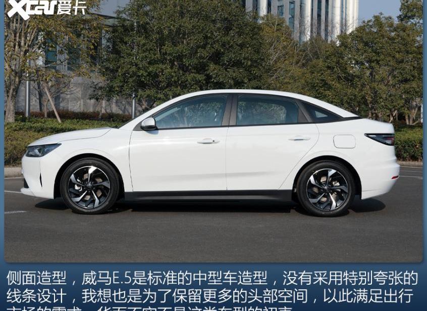 威马E.5,比亚迪,比亚迪e9,红旗,红旗E-QM5