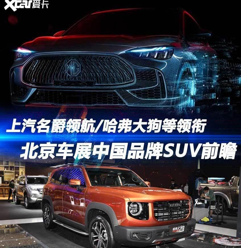 哈弗,哈弗大狗,名爵,北京,高合HiPhi