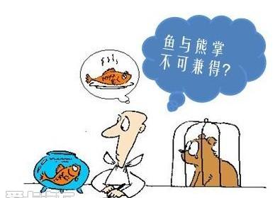 艾力绅,东风,理念