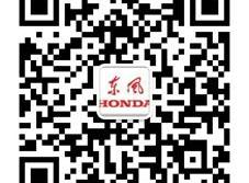 启辰,东风,本田,艾力绅