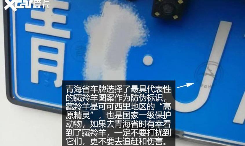 本田,艾力绅,北京,发现,汉