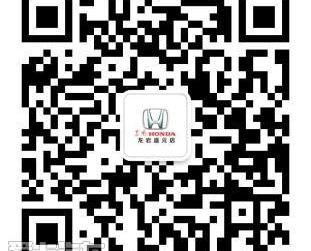 艾力绅,思域,思铭,本田,东风