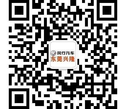 东风风行,东风,奔驰,艾力绅,别克