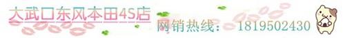 本田,东风,思域,艾力绅,理念