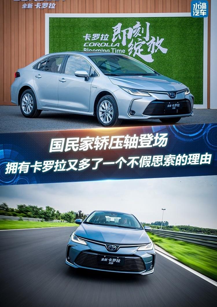 卡罗拉,丰田,东风,本田,思域