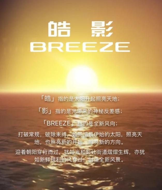 本田,皓影,雅阁,东风,缤智