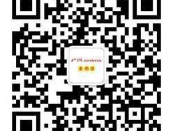 飞度,缤智,凌派,奥德赛