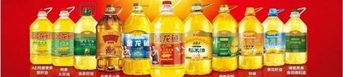 雅阁,本田,飞度,凌派,奥德赛