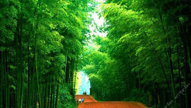 捷豹,路虎