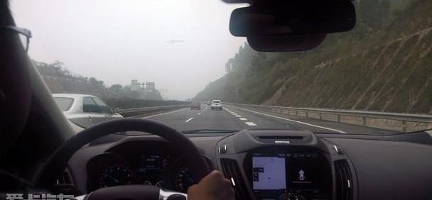 福特,发现,鲸