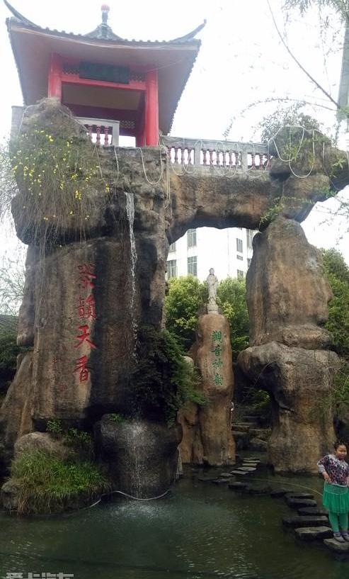 福特,发现,鲸