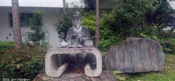 福特,发现,鲸