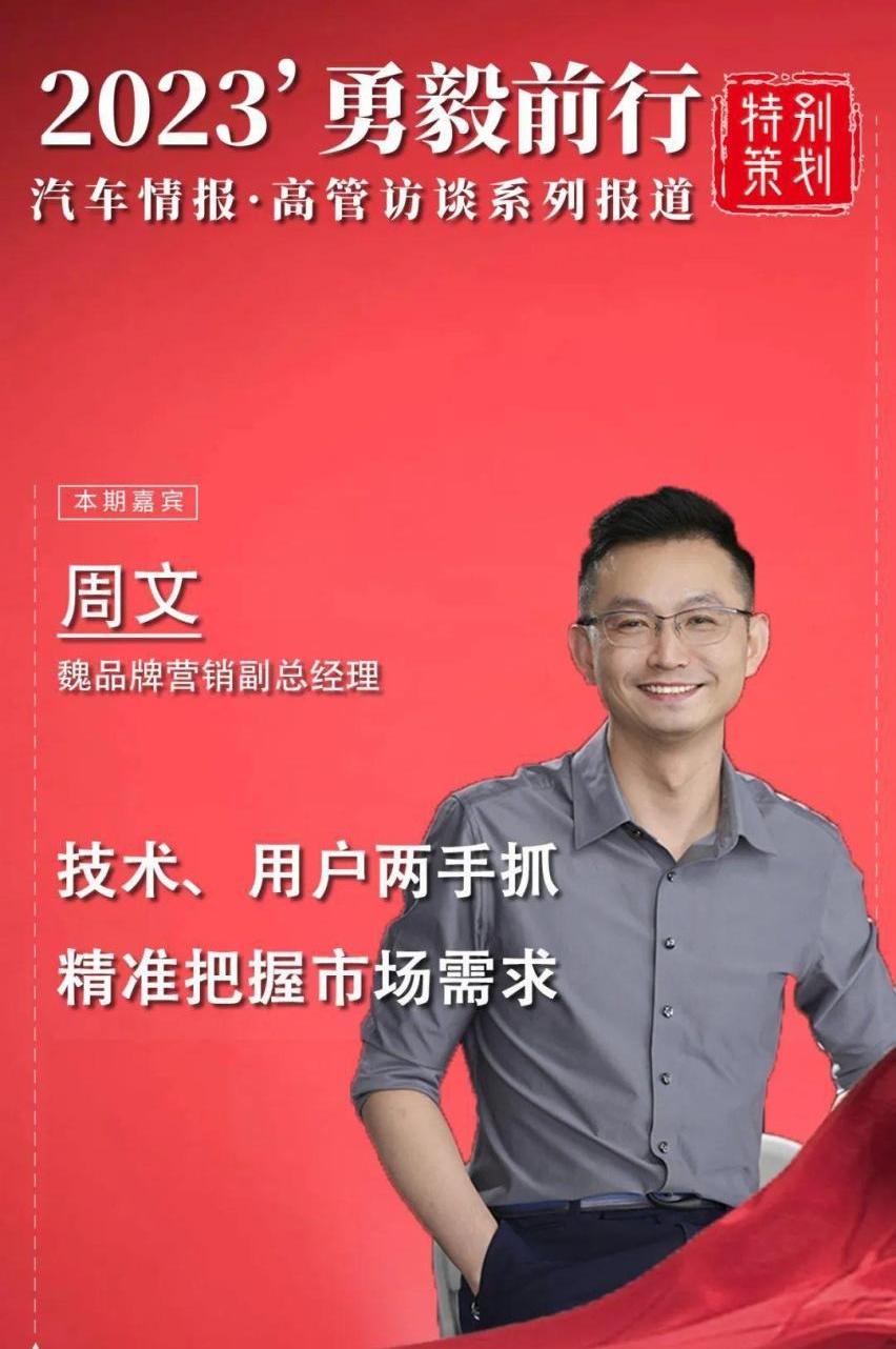 魏牌,蓝山DHT-PHEV,摩卡,理想L8,长城