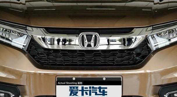 冠道,本田